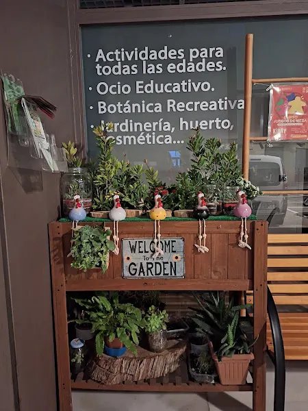 Ginkgo Educación - Centro educativo en Valencia - foto 2
