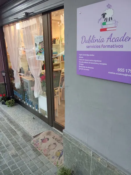 Dublínia Academy S.L.U - Valencia