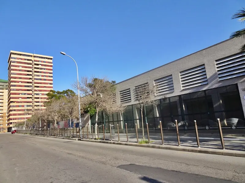 CEIP Mare Nostrum - Colegio público en Valencia - foto 2