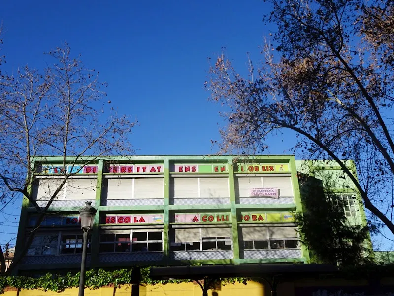 CEIP Ballester Fandos - Colegio público en Valencia - foto 2