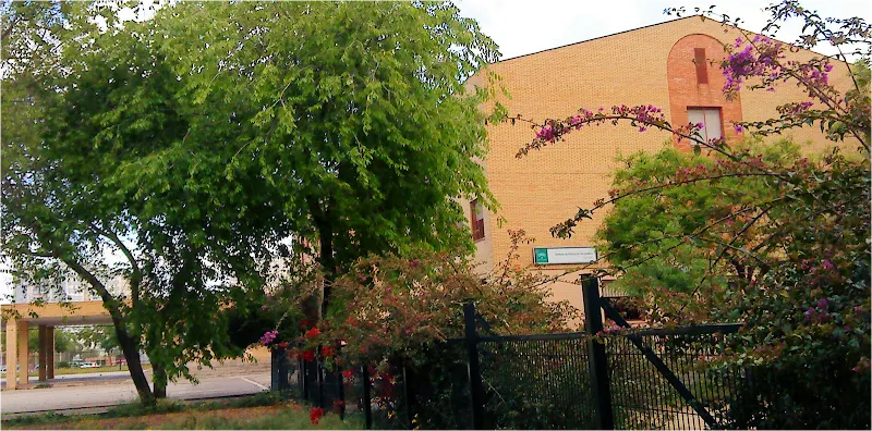 IES San Pablo