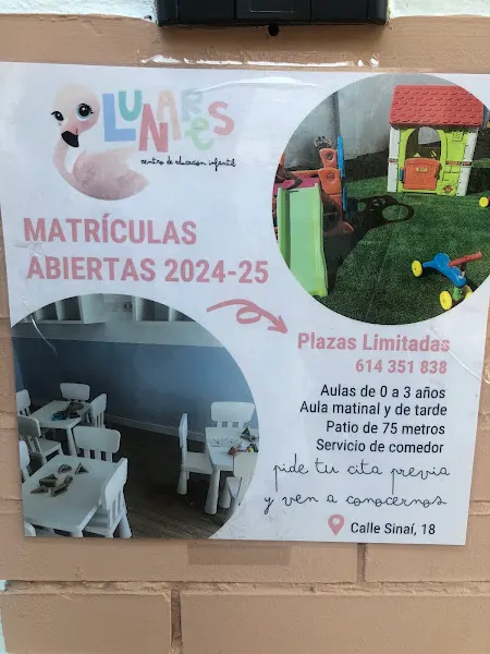 Cei lunares - Sevilla