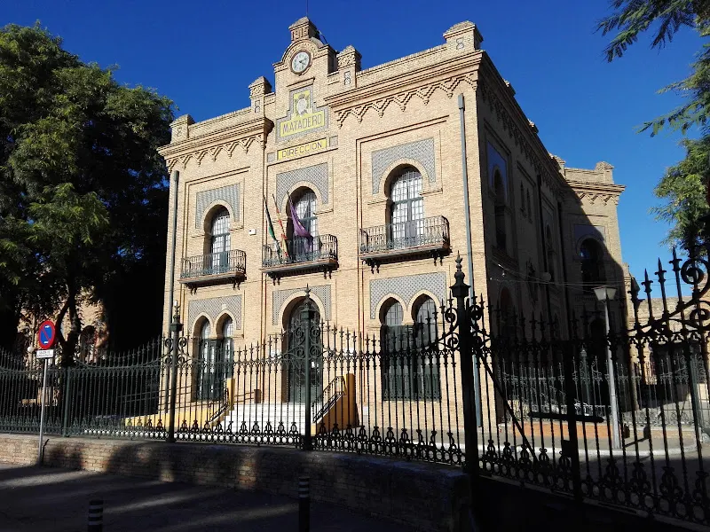 CEIP Ortiz de Zúñiga - Colegio público en Sevilla - foto 2