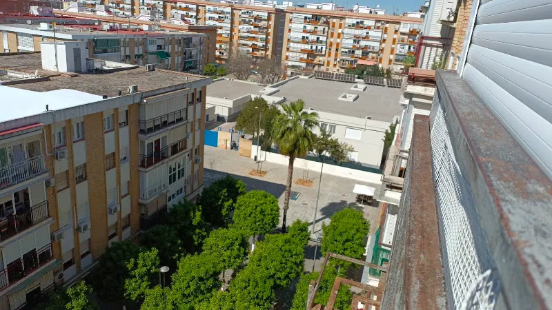 Colegio de Educación Infantil y Primaria San José Obrero - Colegio público en Sevilla - foto 2