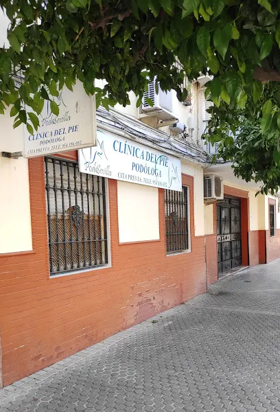 Colegio Profesional de Podólogos de Andalucía - Colegio público en Sevilla - foto 3