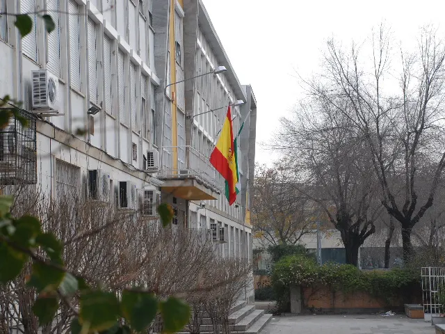 IES Diamantino García Acosta - Instituto de secundaria en Sevilla - foto 2
