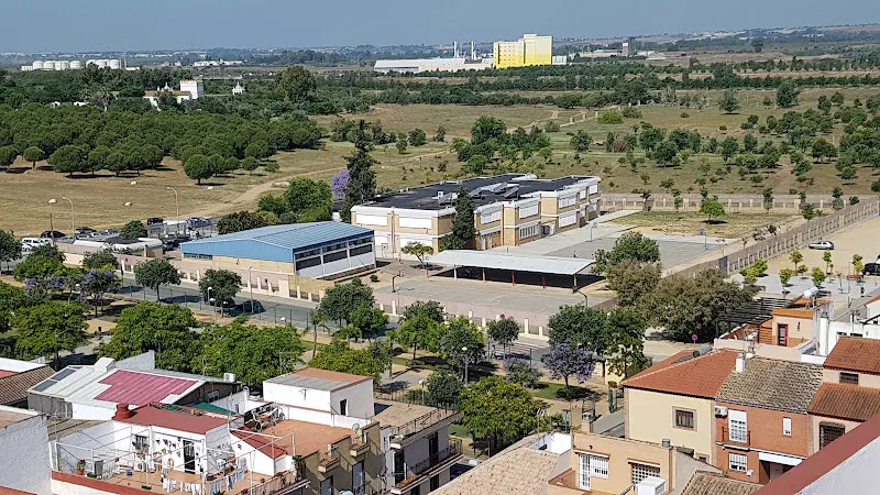 CEIP José Sebastián y Bandarán - Colegio público en Sevilla - foto 2