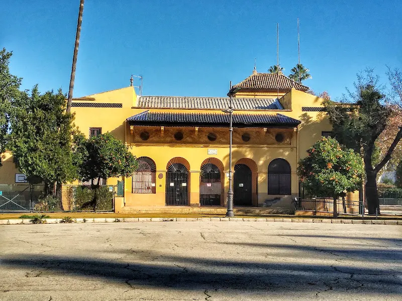 CEIP España - Colegio público en Sevilla - foto 3
