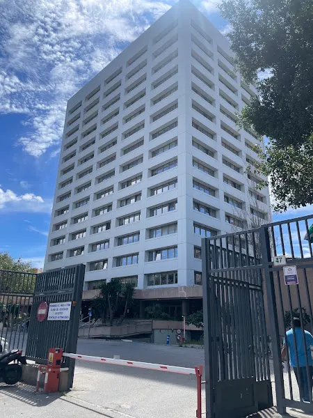 Área De Educación Del Ayuntamiento De Málaga - Málaga
