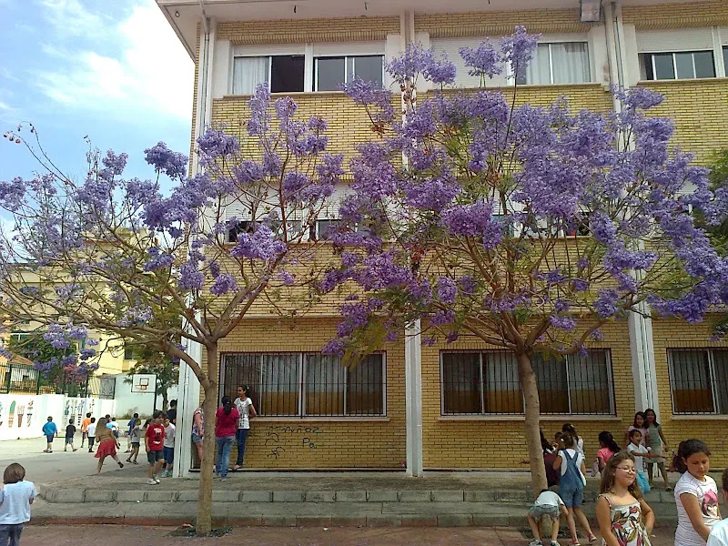 CEIP Ramón del Valle Inclán