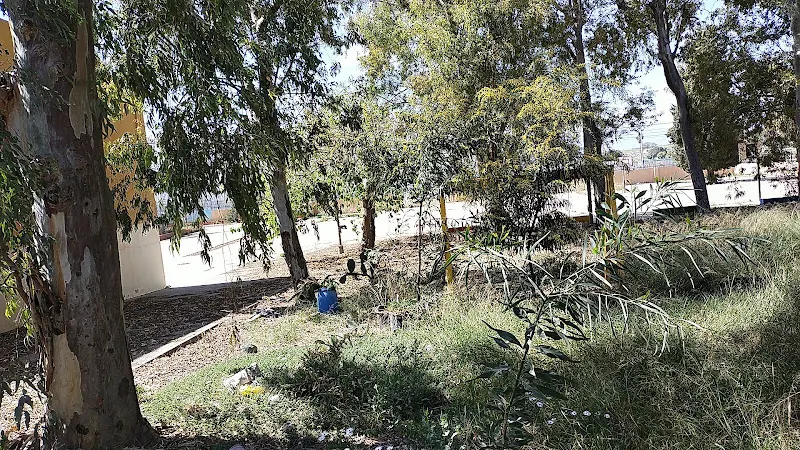 CEIP Intelhorce
