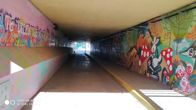 Centro Público de Educación de Personas Adultas San Andrés - Málaga