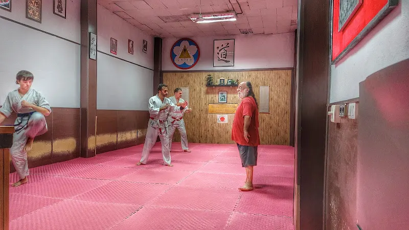 Zendo Ryu Ju Jutsu