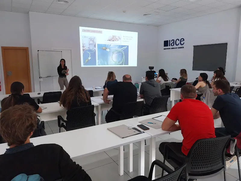 Postgrado en Veterinaria PgO UCAM