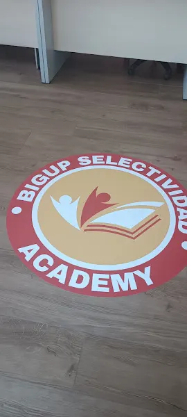 Big Up Selectividad Academy - Málaga