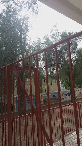 Colegio Público Ntra. Sra. de las Lágrimas - Colegio público en Murcia - foto 2
