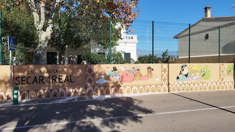 CEIP Es Secar de la Real - Colegio público en Palma - foto 2