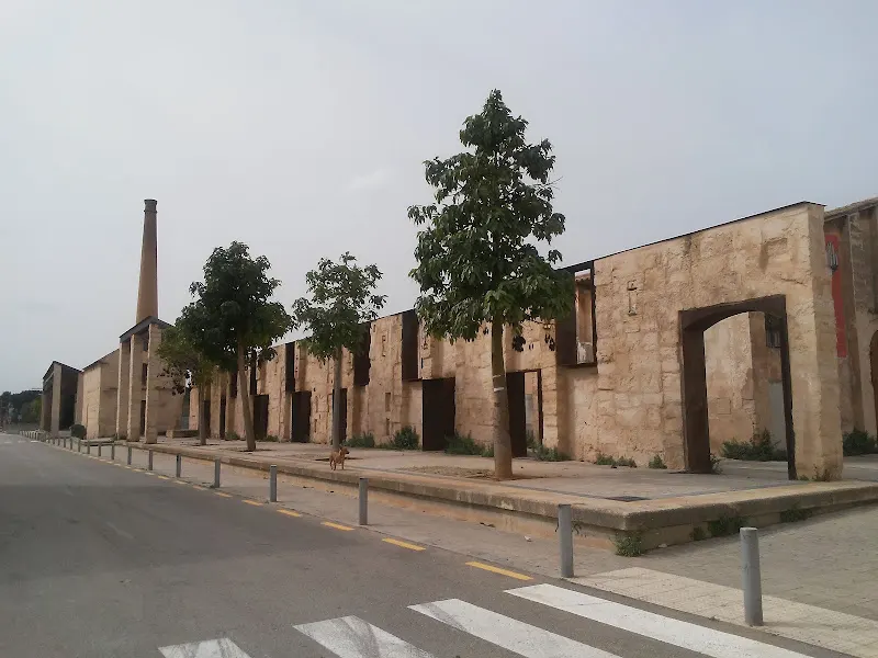 IES Aurora Picornell