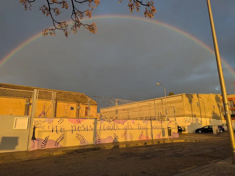 Colegio Público ES Vivero - Colegio público en Palma - foto 2