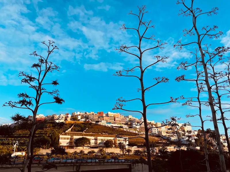 CEIP Guiniguada - Las Palmas de Gran Canaria