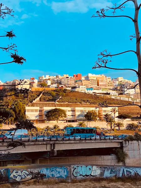 CEIP Guiniguada - Colegio público en Palmas de Gran Canaria (Las) - foto 2