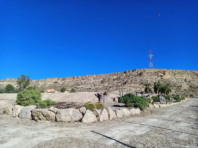 Escuela trail RM Motos - Alicante
