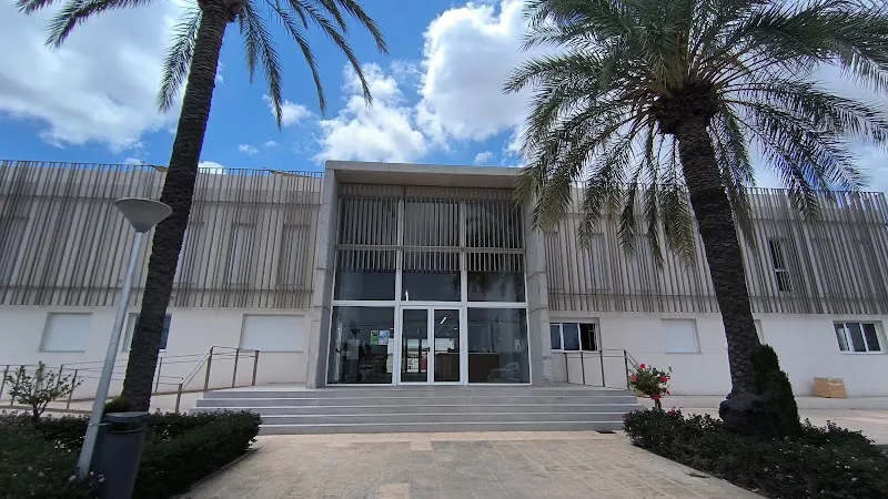 Newton College - Colegio privado en Alicante - foto 2