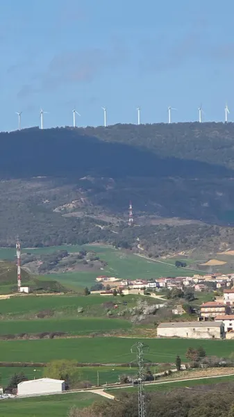 2020 Contenidos SL - Alicante