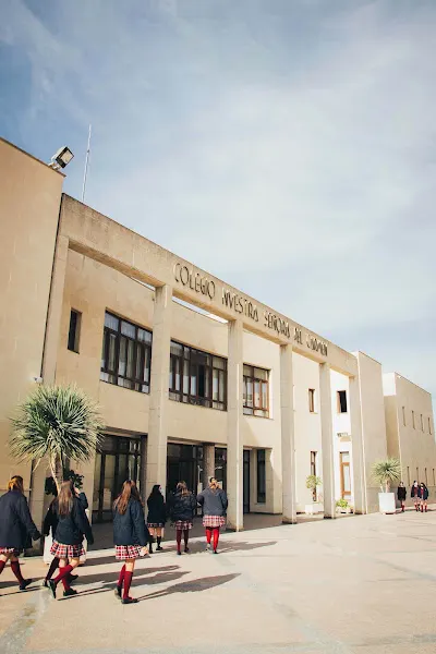 Colegio Público Els Garrofers - Elche