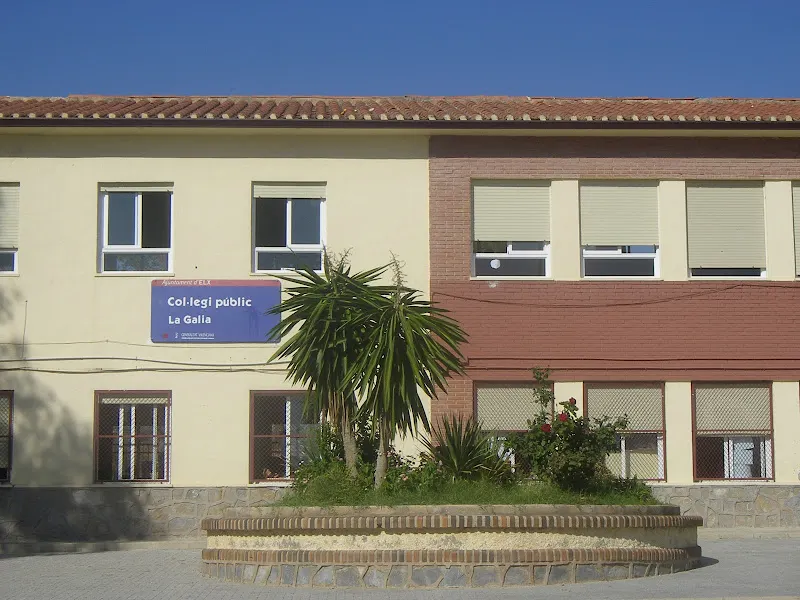 CEIP la Galia - Colegio público en Elche - foto 2