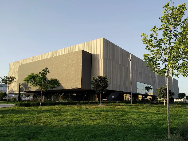 UMH: CAFETERÍA Edificio Arenals - Elche