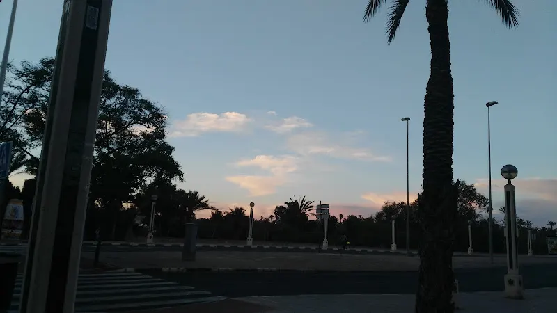 CEIP Baix Vinalopó - Colegio público en Elche - foto 2