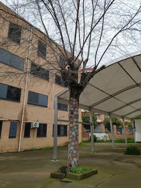 I.E.S. "Medina Azahara" - Instituto de secundaria en Córdoba - foto 2
