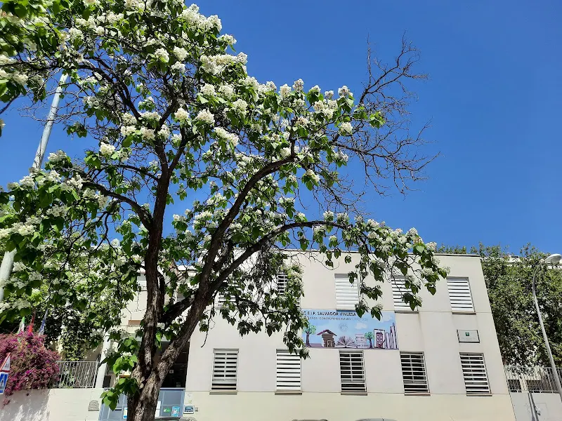 CEIP Noreña - Córdoba