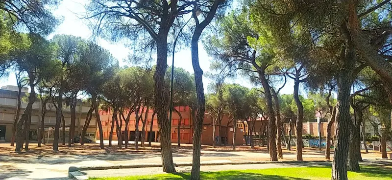 IES Pinar de la Rubia - Valladolid