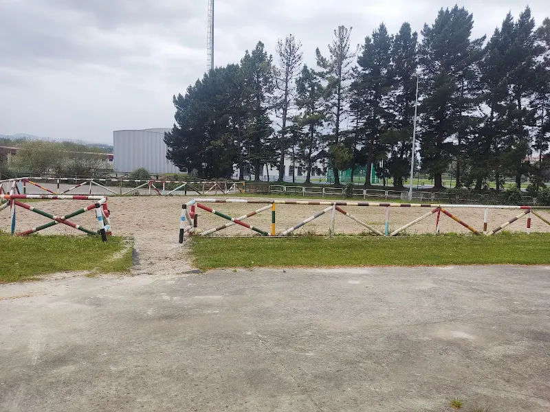 Escuela de Terapias Ecuestres - Gijón