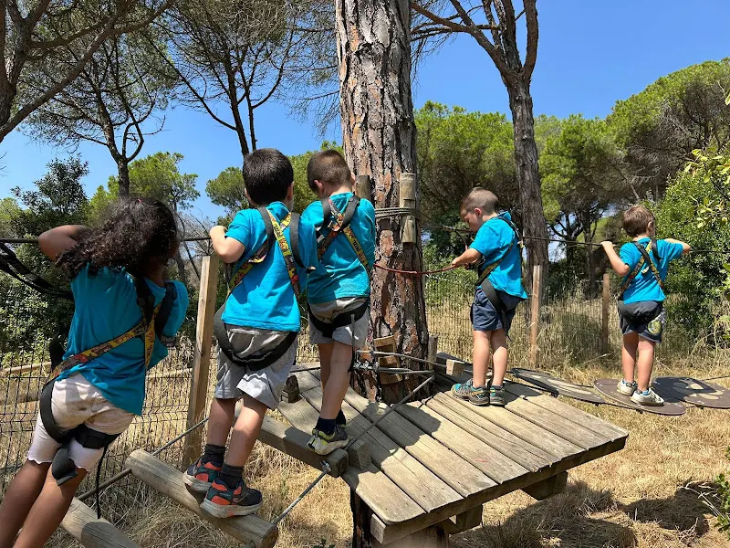 Club Infantil Juvenil Sanfeliu - Sant Ildefons - Centro educativo en Hospitalet de Llobregat (L) - foto 2