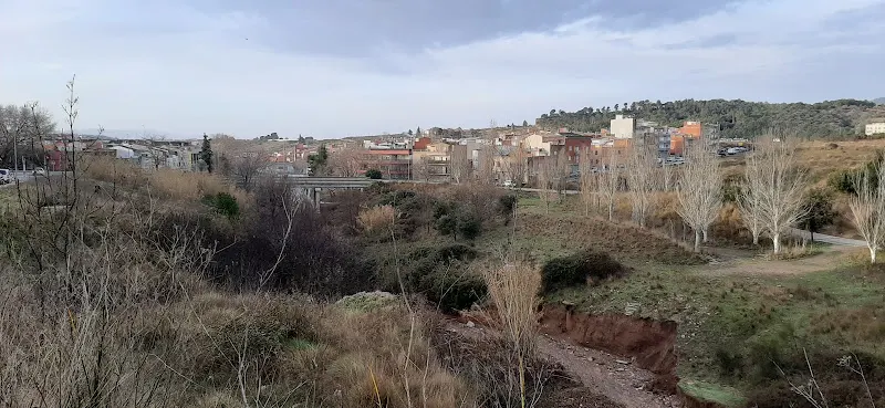 Institut Can Roca