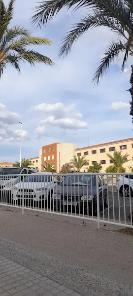 CEIP Eugeni d'Ors - Colegio público en Elche - foto 2