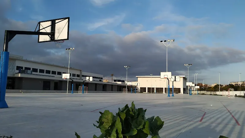 IES Vicente Verdú - Elche