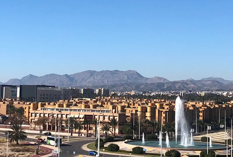 CEIP Miguel de Unamuno - Colegio público en Elche - foto 3