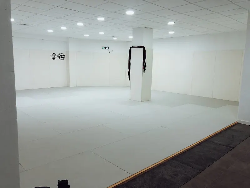 ILICE JIU JITSU ACADEMY - Elche
