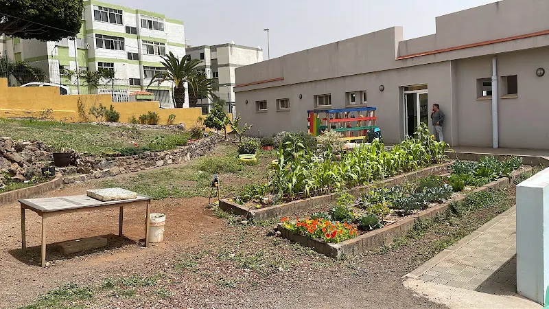 CEIP Machado - Colegio público en Rosario (El) - foto 2