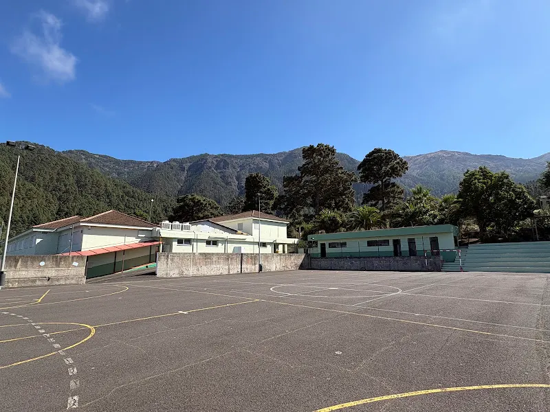 CEIP Machado - Colegio público en Rosario (El) - foto 3