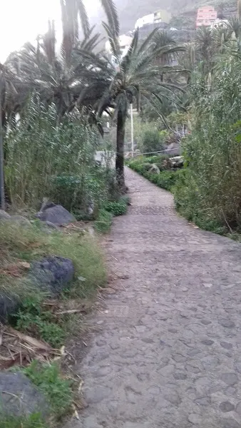Colegio Público El Retamal - Valle Gran Rey