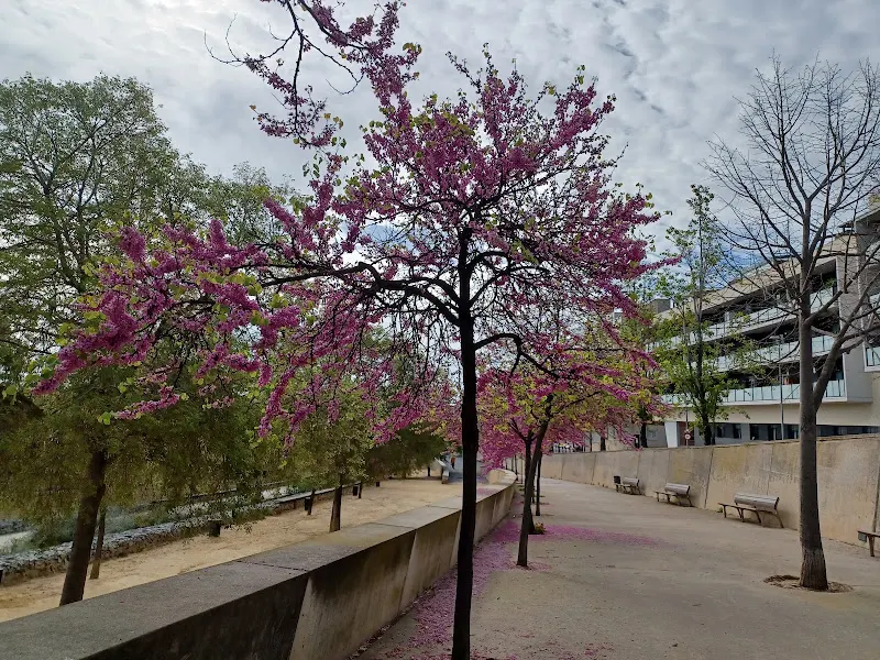 INSTITUTO LA RIERA