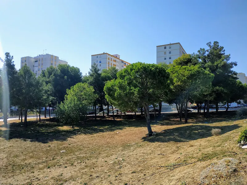 CEIP Alfonso X El Sabio