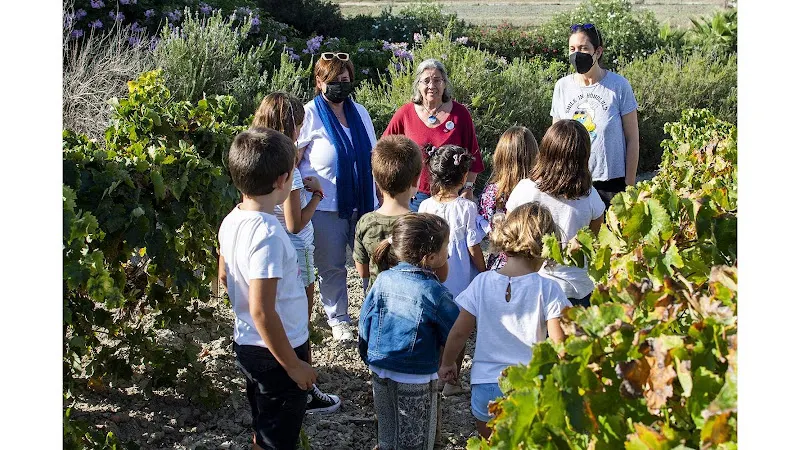 Flor, La Levadura del Sherry