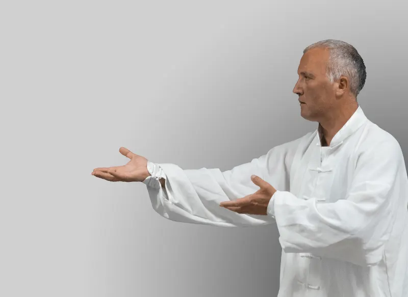 ️ ASOCIACION SHEN QI YI.- Chi Kung y Tai Chi Chuan en Pamplona ️ - Pamplona