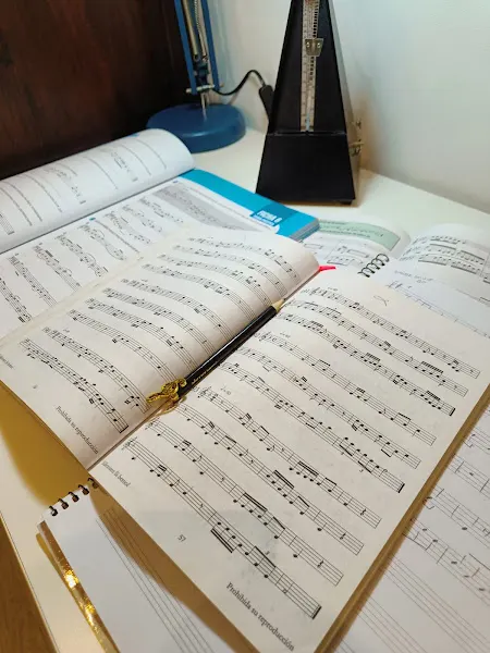 VIOLÍN clases particulares en Santander - Santander